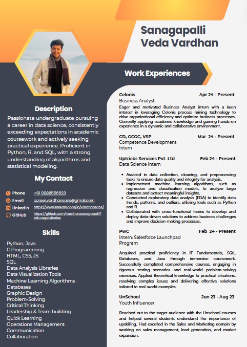 Resume Preview 1